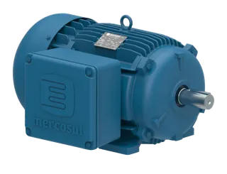 Motor elétrico trifásico Mercosul azul, IP55